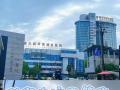 后腦勺的毛囊“換防”到頭頂，隨州市中心醫(yī)院首例毛發(fā)自體移植順利完成