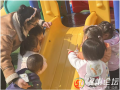 滑梯上的“小客人”：萬(wàn)福店中心幼兒園萌娃與蝸牛的自然課堂