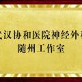 好消息！“近”享頂尖醫(yī)療服務(wù)！協(xié)和醫(yī)院神經(jīng)外科知名專家團(tuán)隊(duì)每周四到市中心醫(yī)院坐診、手術(shù)！