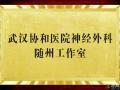 好消息！“近”享頂尖醫(yī)療服務(wù)！協(xié)和醫(yī)院神經(jīng)外科知名專家團(tuán)隊(duì)每周四到市中心醫(yī)院坐診、手術(shù)！
