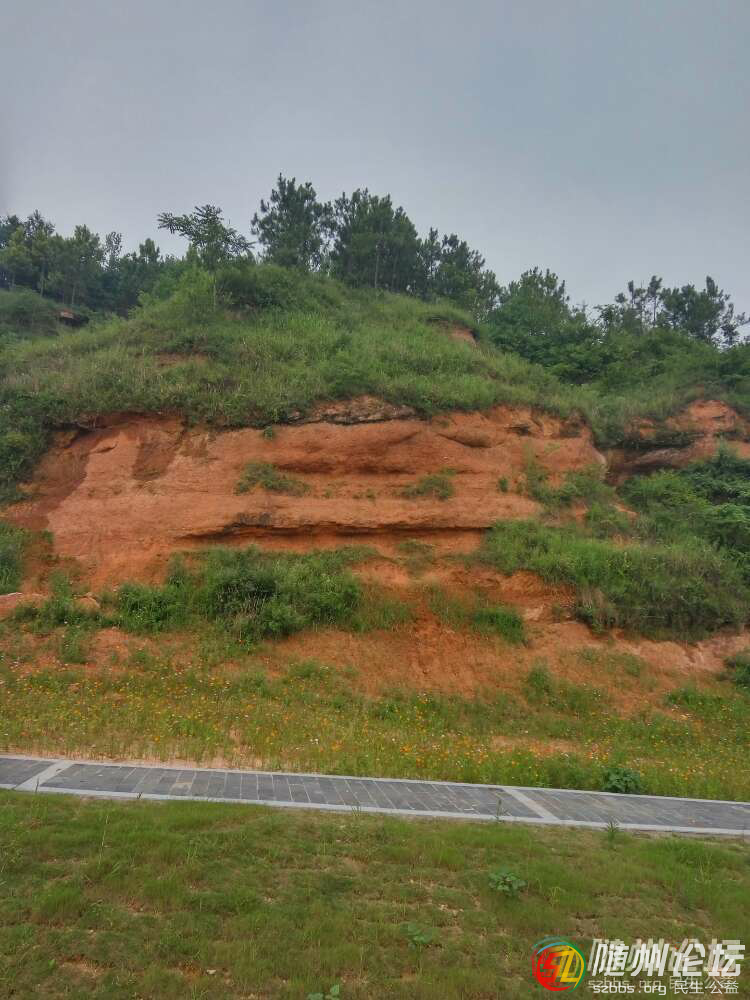 20180602_261595_1527897284309.png