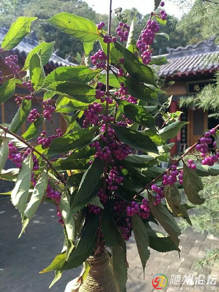20180724_17382395_1532408927630.jpg