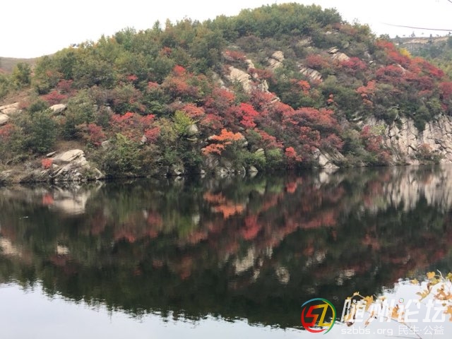 20181029173796781540782170512285.jpg