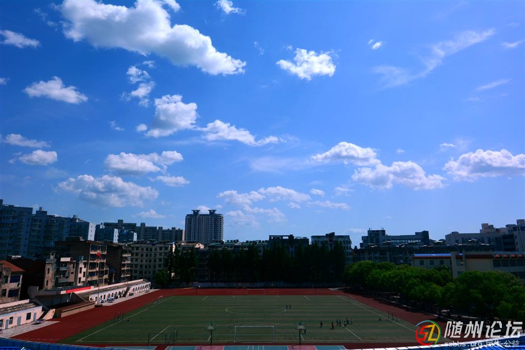 _DSC5149 (大).JPG
