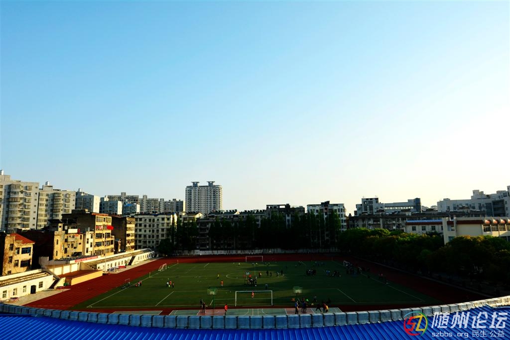 _DSC4079 (大).JPG