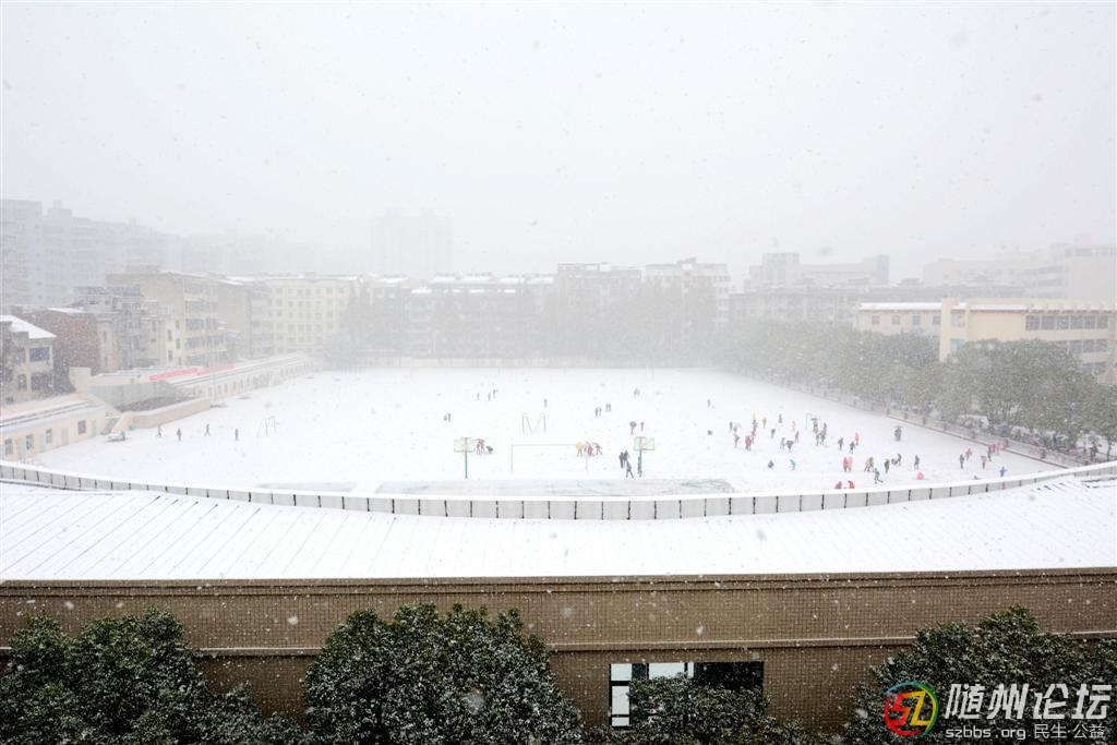 DSC_8458 (大).JPG