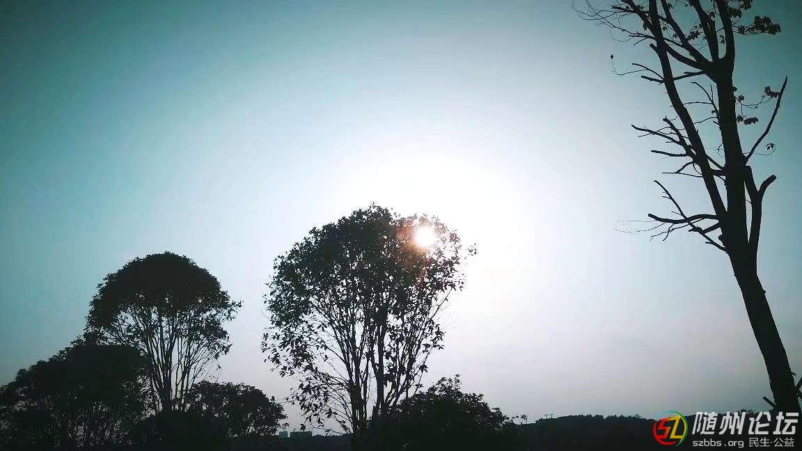 20190502_17381917_1556778504984.jpg