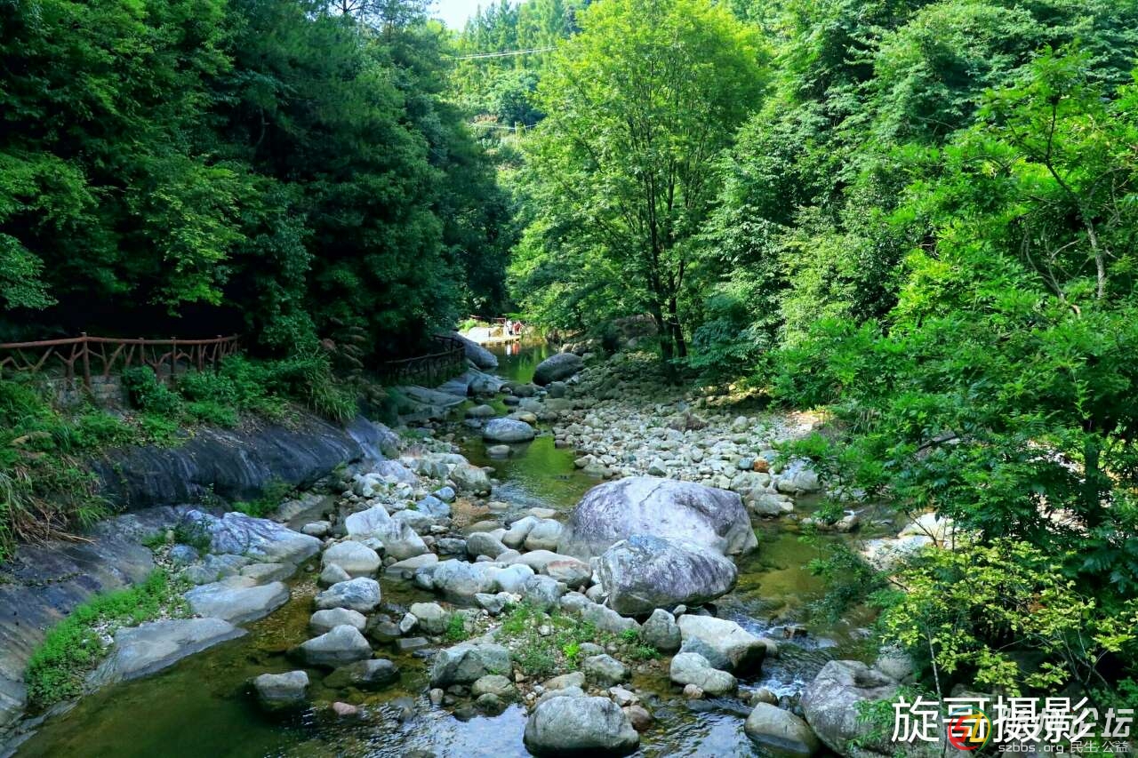 20190715_17390550_1563183000338.jpg