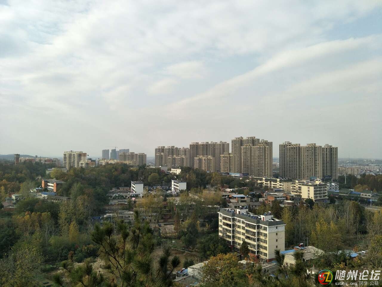 20191121_272877_1574335928367.jpg