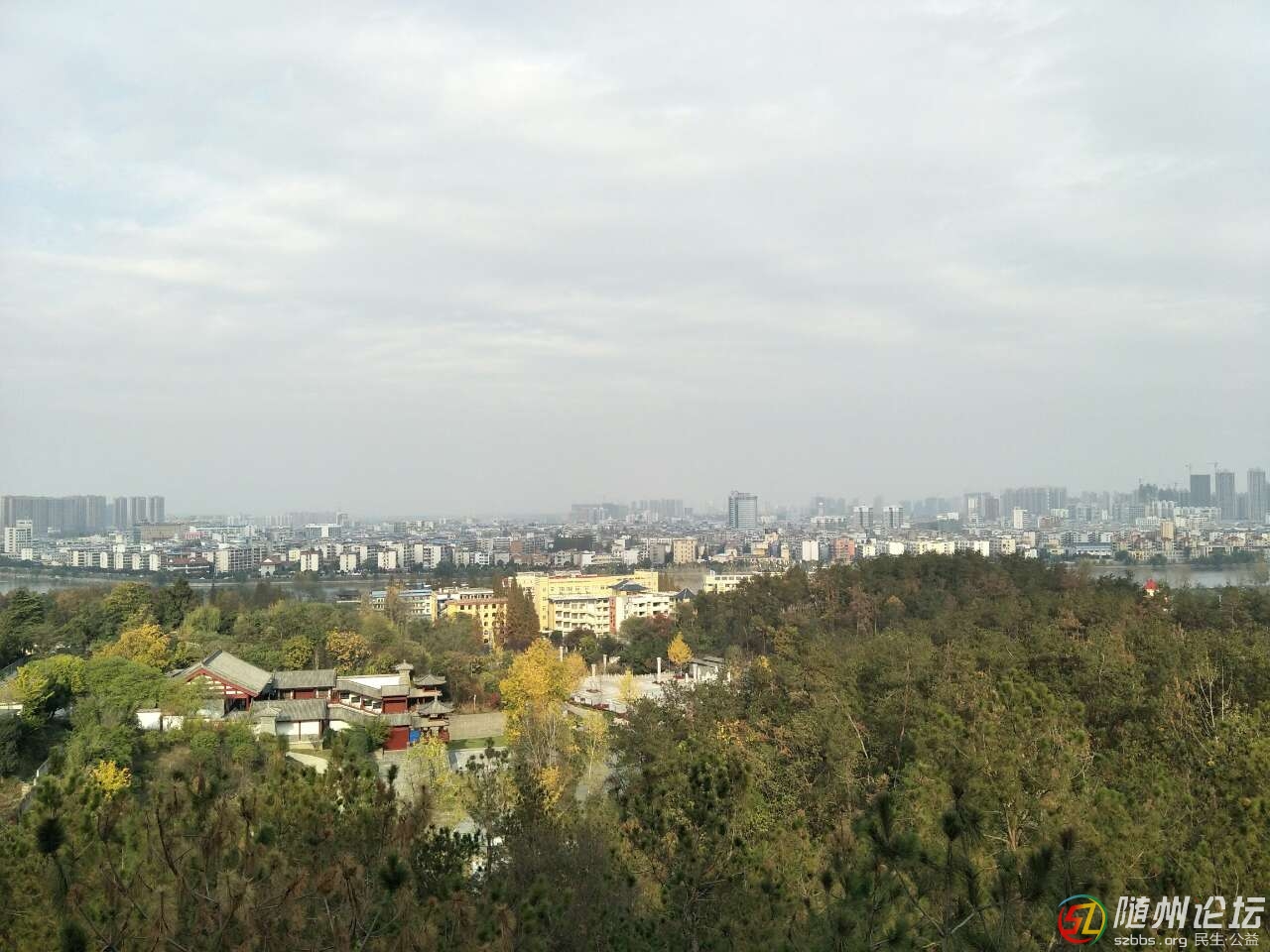 20191121_272877_1574335927956.jpg