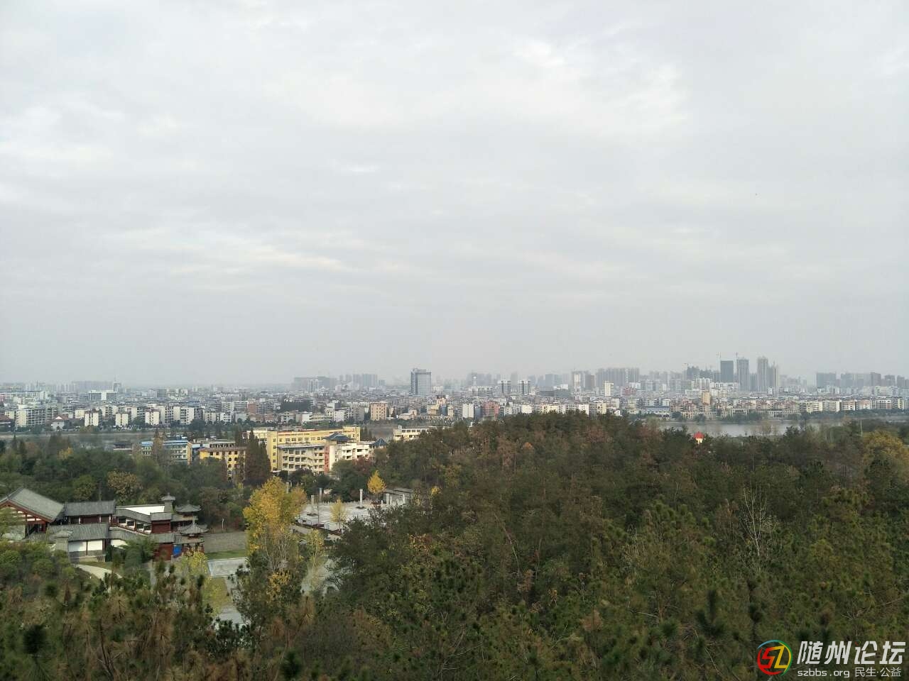 20191121_272877_1574335930308.jpg
