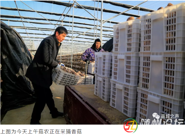 QQ截圖22.png
