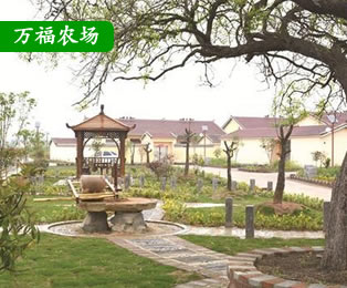 國營(yíng)萬福農(nóng)場(chǎng)